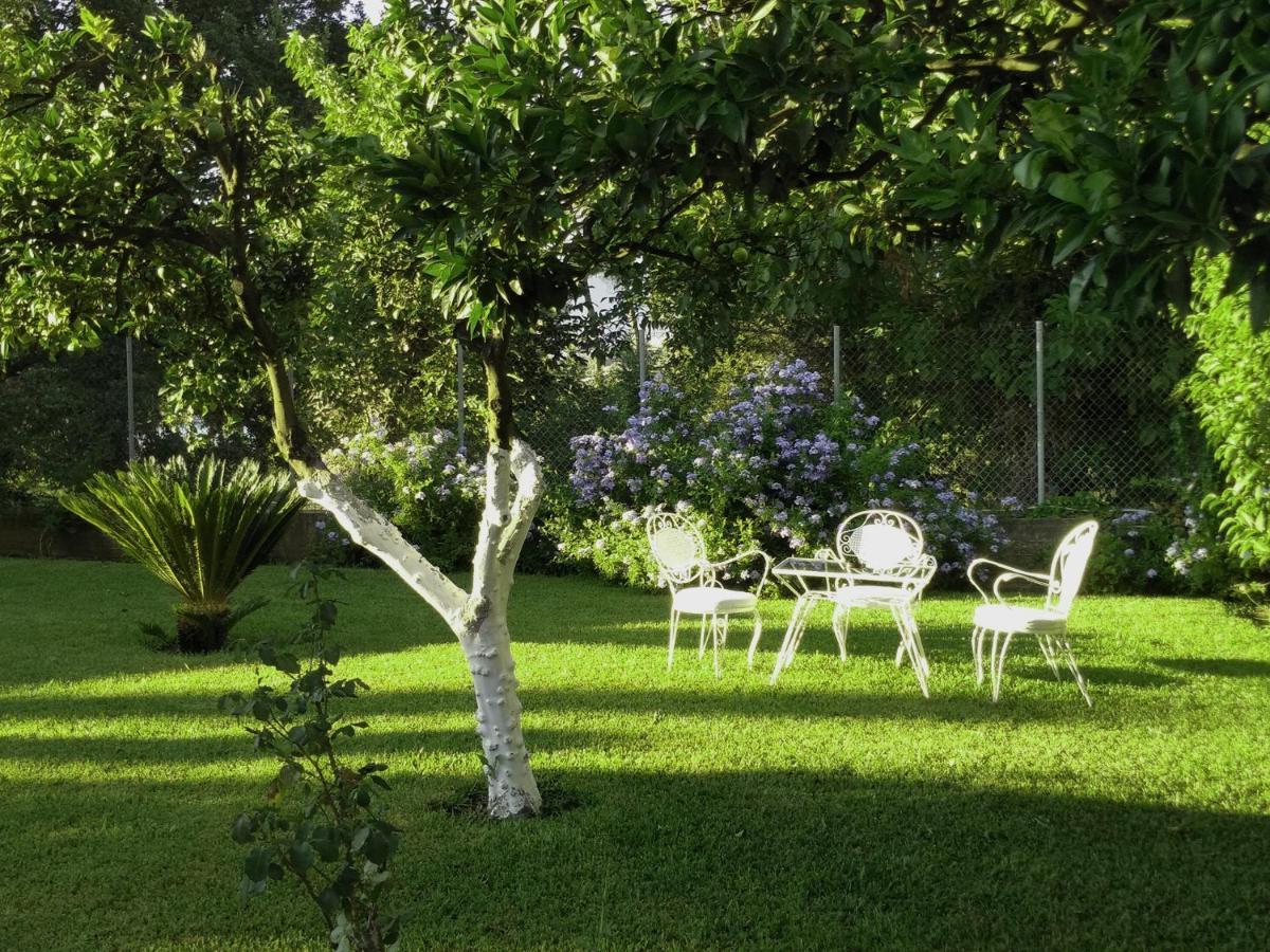 Casa Malu Boutique Apartments - No 1 Gouvia Exteriér fotografie